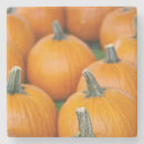 Search for charleston coasters United states of america