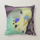 Search for budgie cushions Budgerigar