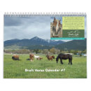 Search for draught photography Horse