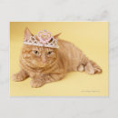 Search for tiara postcards Cat