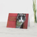 Search for hurry cards Cat