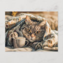 Search for comfortable postcards Coffee