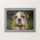 Search for english bulldog puzzles Cute