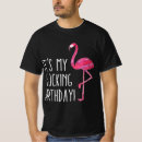 Search for flamingo birthday mens tshirts Fun