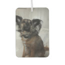 Search for funny car air fresheners Pet