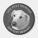 Search for dog magnets Simple