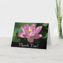 Search for pink lotus flower cards Nature