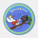 Search for guitar magnets Bird