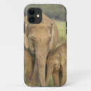 Search for indian elephant iphone cases Corbett