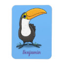 Search for toucan magnets Costa rica