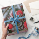 Search for christmas tissue wrapping paper Birthday