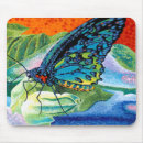Search for rainbow bright mousepads Insect