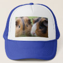 Search for rodent hats Pet