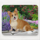 Search for welsh corgi mousepads Pets