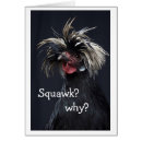 Search for squawk Birthday