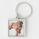 Search for britain square key rings Red
