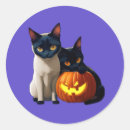 Search for cat pumpkin stickers Black