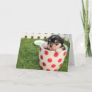 Search for teacups cards Cute