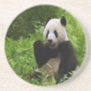 Search for bamboo barware Black