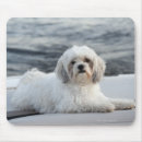 Search for lay mousepads Outdoors