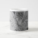 Search for tiger lily mugs Photography