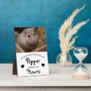 Search for guinea pig memorial Remembrance