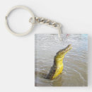 Search for leaping key rings Jumping