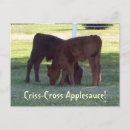 Search for calves postcards Calf