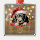Search for english cocker spaniel christmas tree decorations Cute