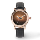 Search for materials watches Universe