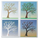 Search for fall winter tiles Summer
