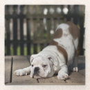 Search for english coasters Photography