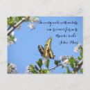 Search for johns postcards Nature