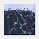 Search for cells magnets People