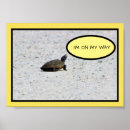 Search for funny turtles posters Reptiles
