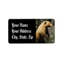 Search for grizzly return address labels Nature