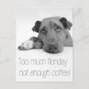 Search for funny office humour postcards Quote