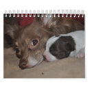 Search for love calendars Puppy