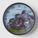 Search for black swan Photography