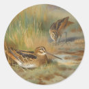 Search for vintage bird illustration stickers Animals