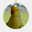 Search for parakeet christmas tree decorations Yellow