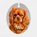 Search for cavalier king charles spaniel christmas tree decorations Pet