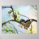 Search for funny owl art Birds of prey
