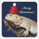 Search for bearded dragon stickers Gecko