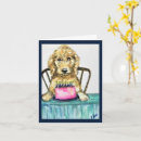 Search for goldendoodle cards Dogs