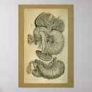 Search for duodenum posters Medical