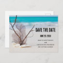 Search for seashell invitations Tropical beach