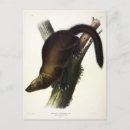 Search for fisher postcards Illustration