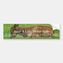 Search for one bumper stickers Nature