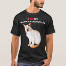 Search for flame point siamese cat Marshmallow